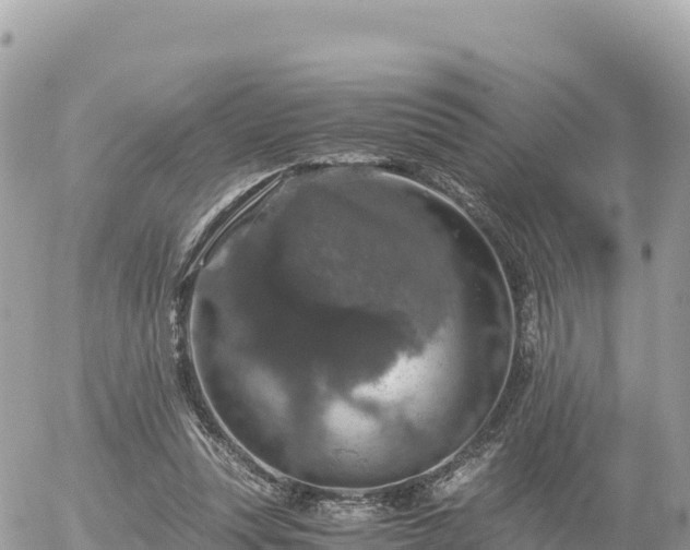 X0000056000351200508261755