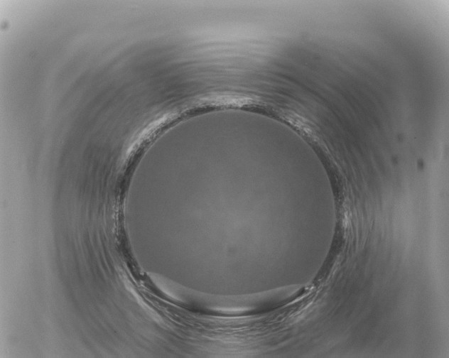 X0000056000352200508261755