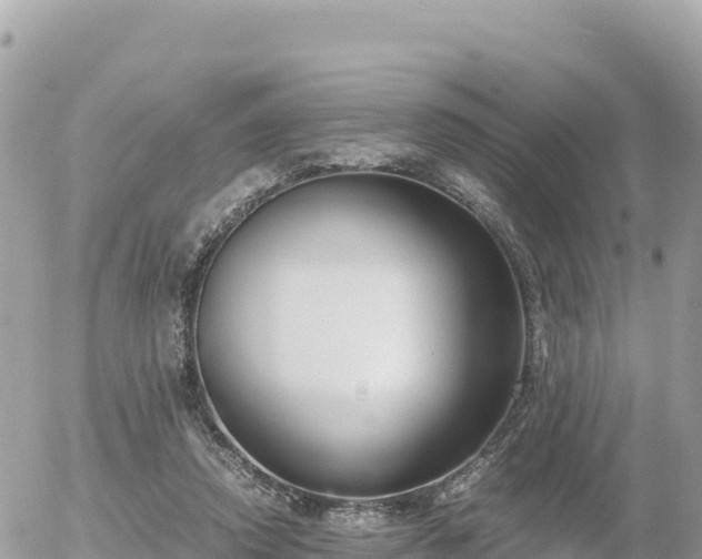 X0000056000354200508261755