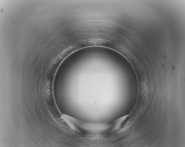 X0000056000356200508261755