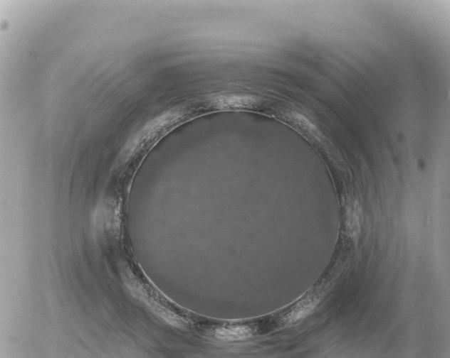 X0000056000357200508261755