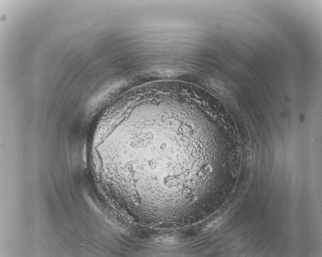 X0000056000358200508261755