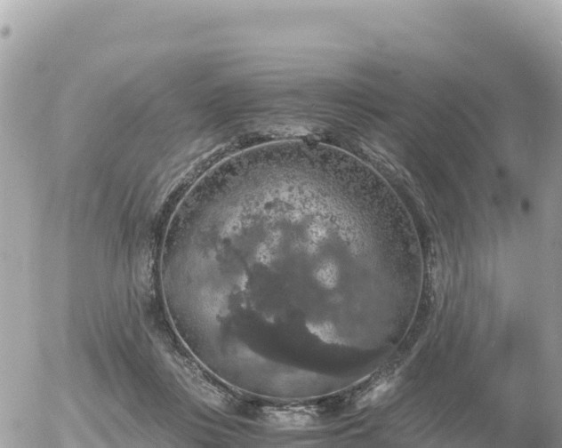 X0000056000359200508261755