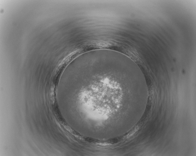 X0000056000360200508261755