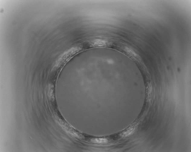 X0000056000361200508261755