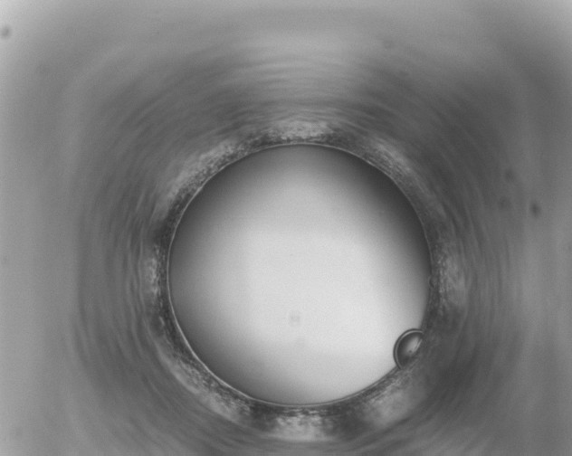 X0000056000362200508261755