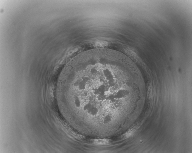 X0000056000363200508261755