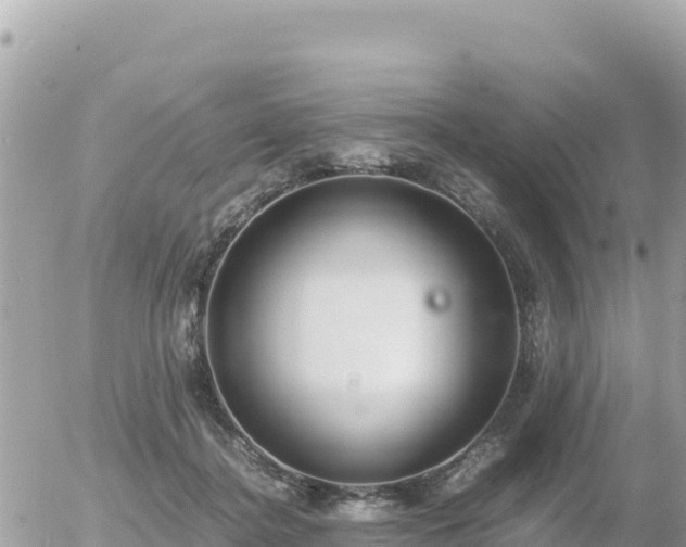 X0000056000364200508261755