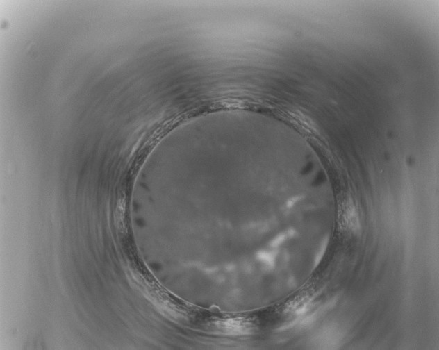 X0000056000365200508261755