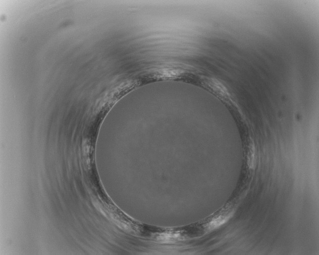 X0000056000366200508261756