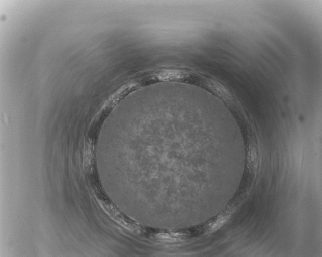 X0000056000367200508261756