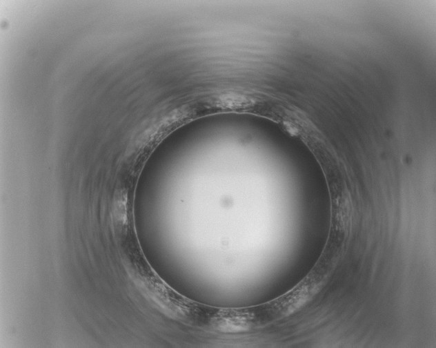 X0000056000368200508261756