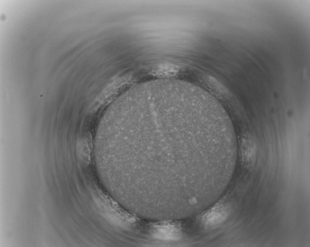 X0000056000370200508261756