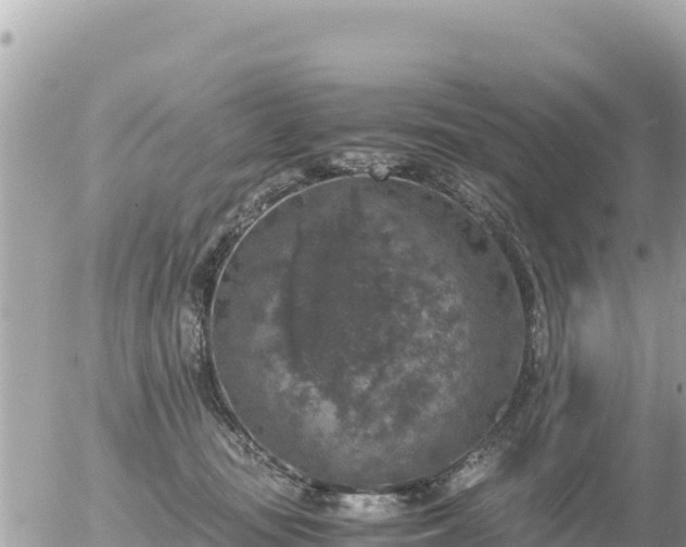 X0000056000371200508261756