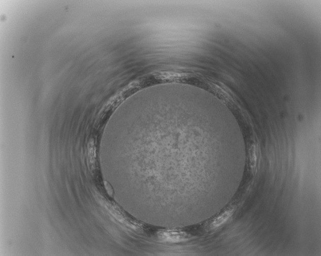 X0000056000372200508261756