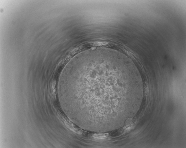 X0000056000373200508261756