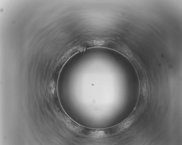 X0000056000374200508261756