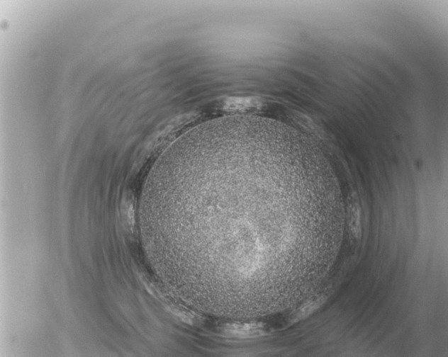 X0000056000375200508261756