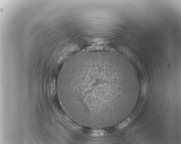 X0000056000376200508261756