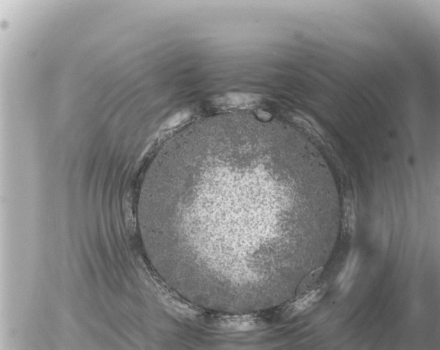 X0000056000377200508261756