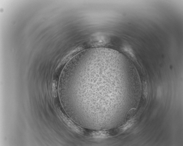 X0000056000378200508261756