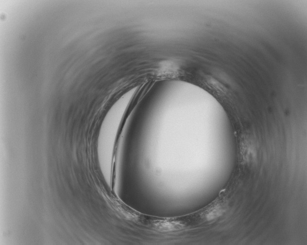 X0000056000379200508261756