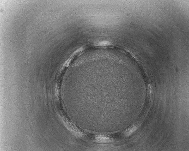 X0000056000380200508261756