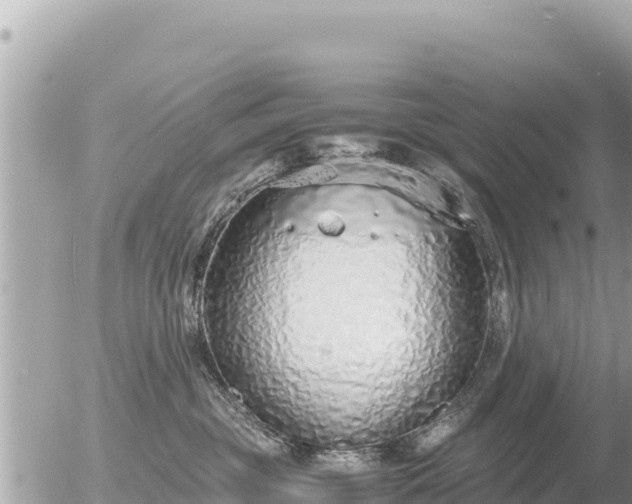 X0000056000381200508261756