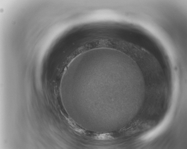 X0000056000382200508261756