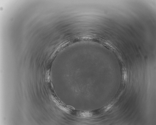 X0000056000383200508261756