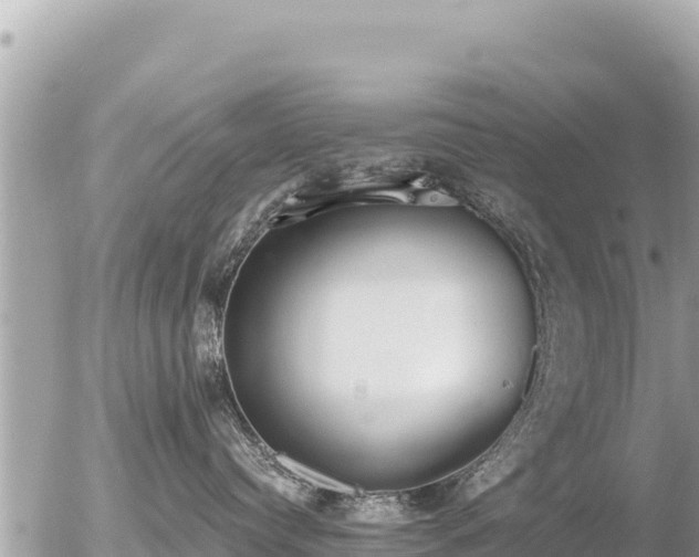 X0000056000384200508261756