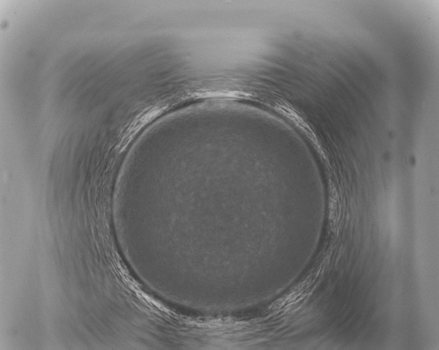 X0000056000385200508261755