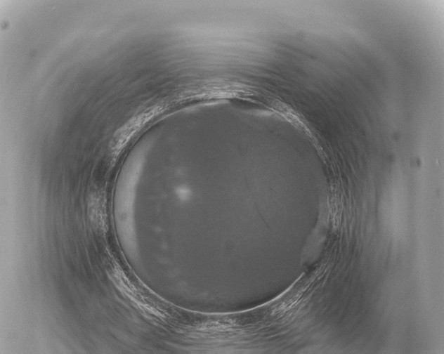 X0000056000386200508261755