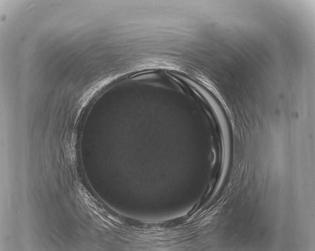 X0000056000387200508261755