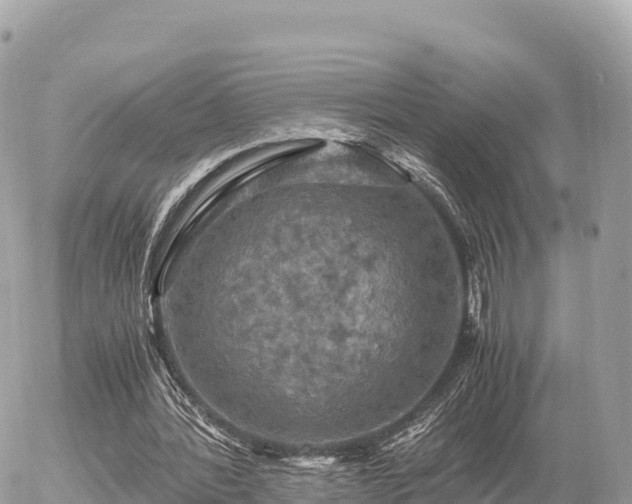 X0000056000388200508261755