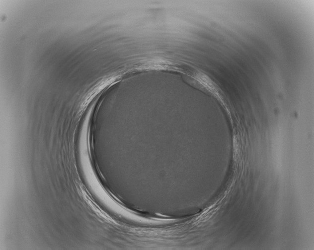 X0000056000389200508261755