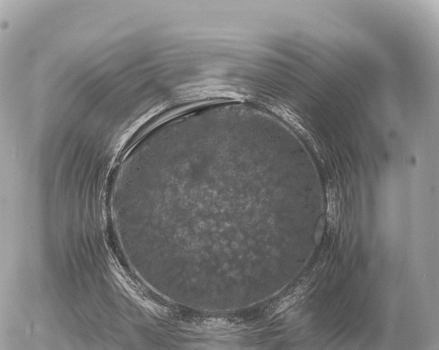 X0000056000390200508261755