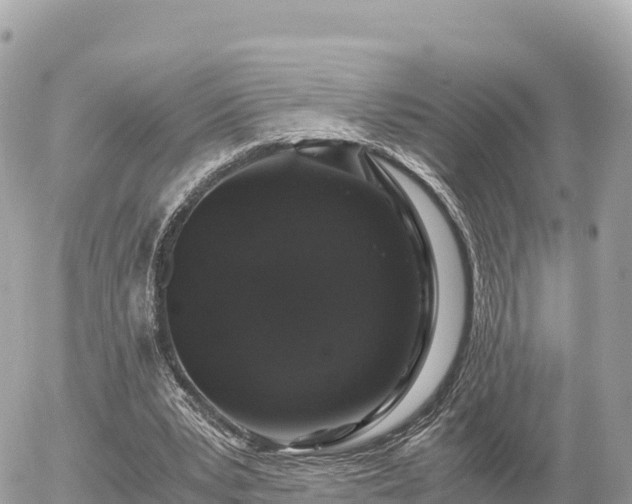 X0000056000391200508261755