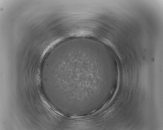 X0000056000392200508261755