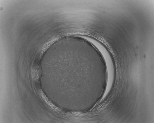 X0000056000393200508261755