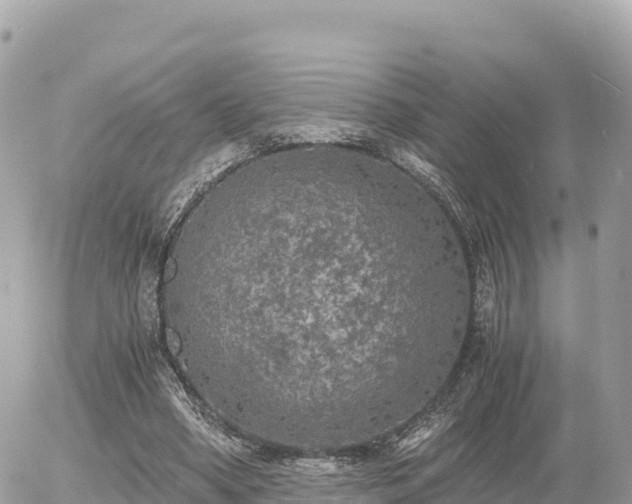 X0000056000394200508261755