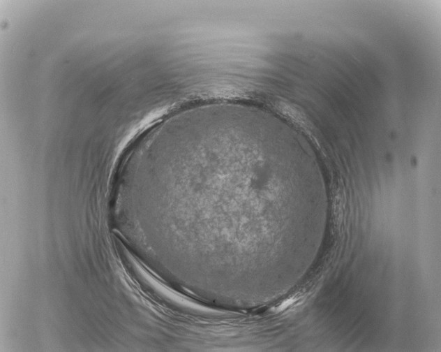 X0000056000395200508261755