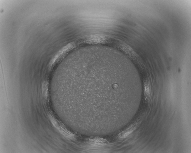 X0000056000396200508261755