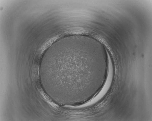 X0000056000397200508261755