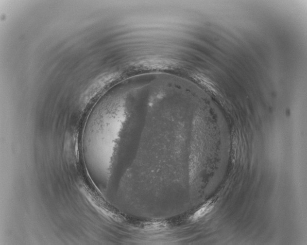 X0000056000398200508261755