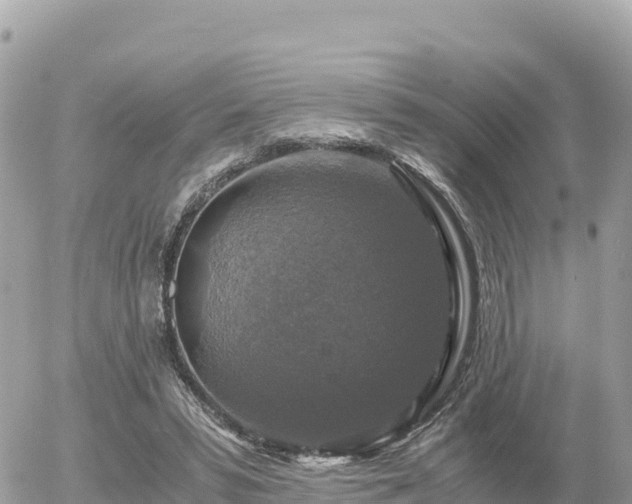 X0000056000399200508261755