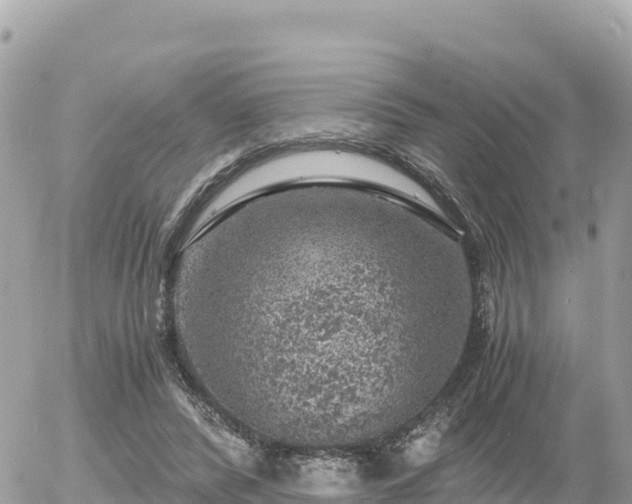 X0000056000400200508261755