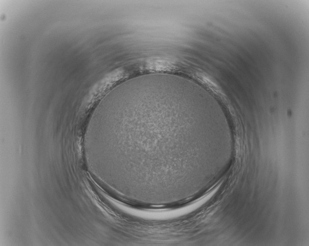 X0000056000401200508261755