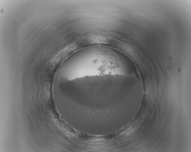 X0000056000402200508261755