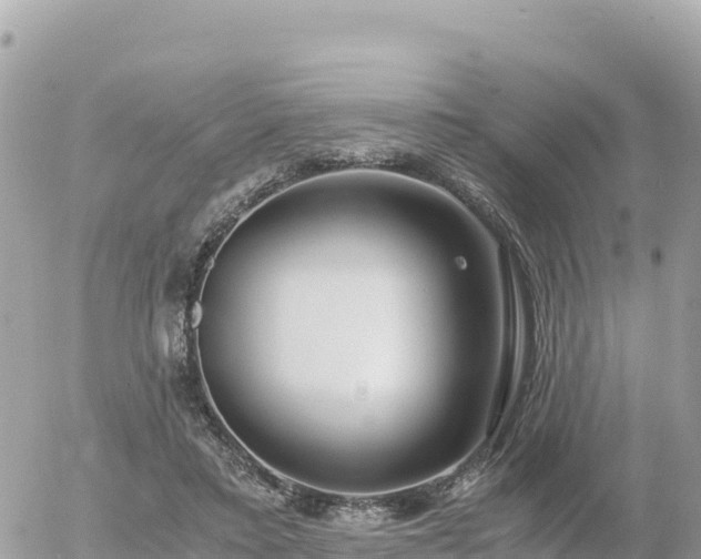 X0000056000403200508261755